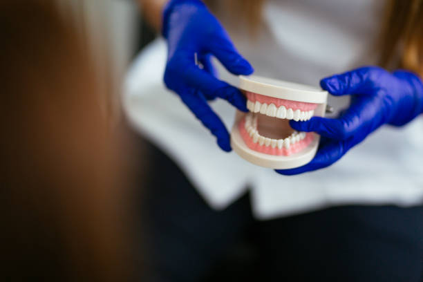 Best Preventive Dentistry  in Thurmont, MD